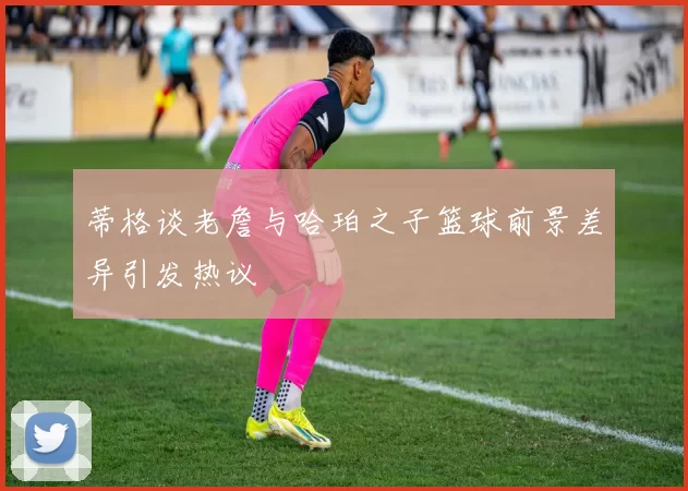蒂格谈老詹与哈珀之子篮球前景差异引发热议